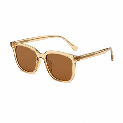Mayfair Clear-Frame Sunglasses